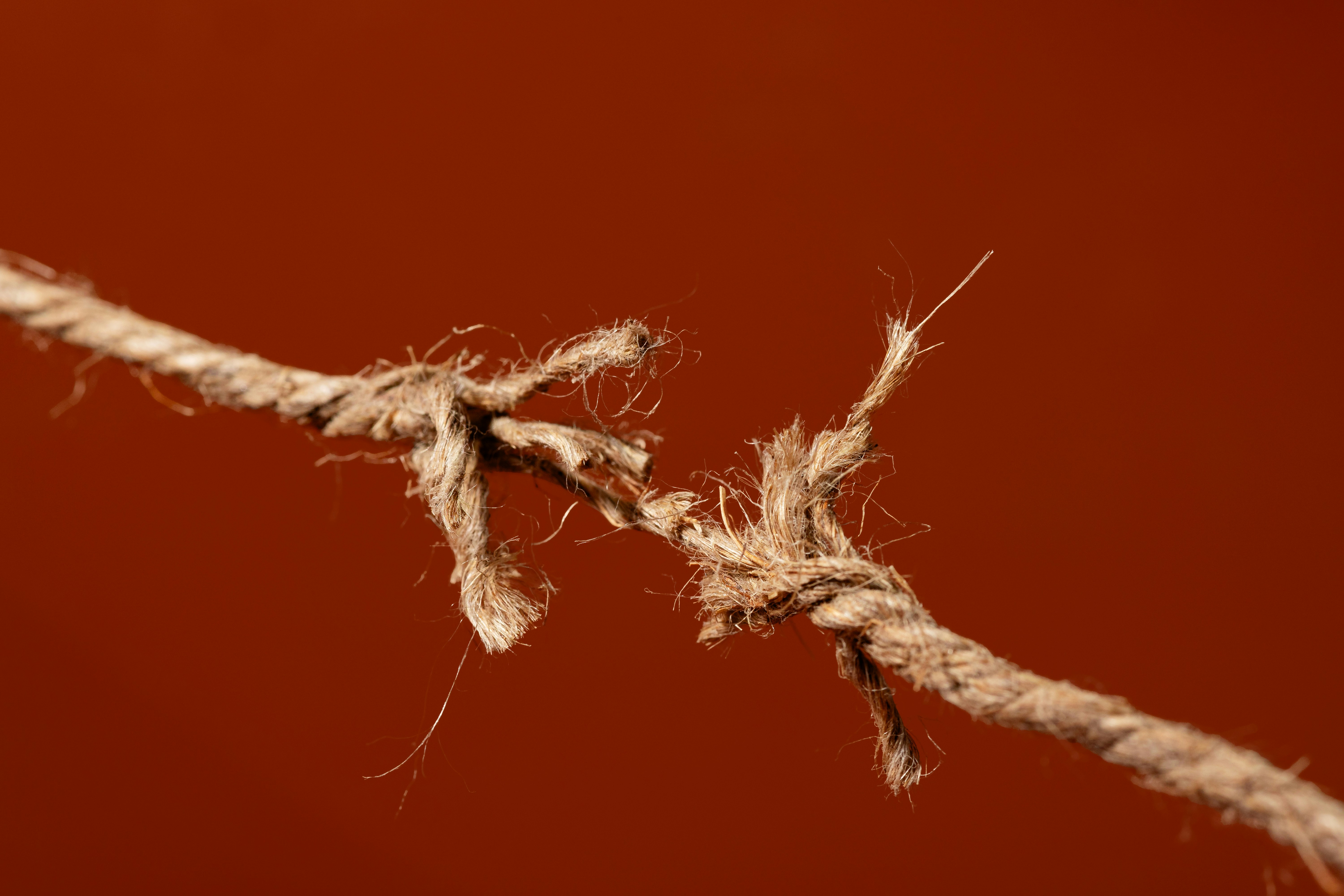 Has Financial Disclosure Reached a Breaking Point?