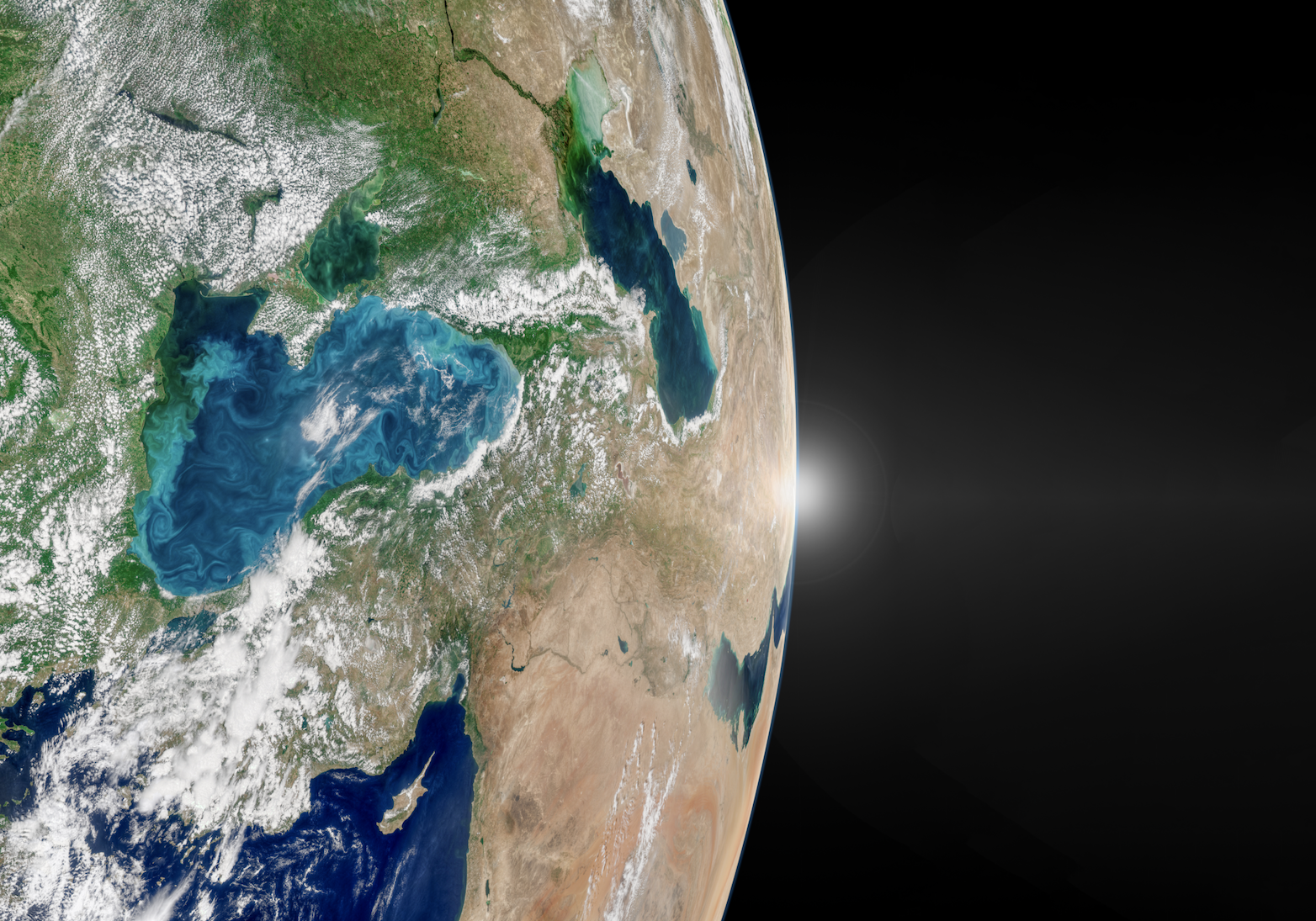 The Cycle Persists Through Geopolitical Disruption