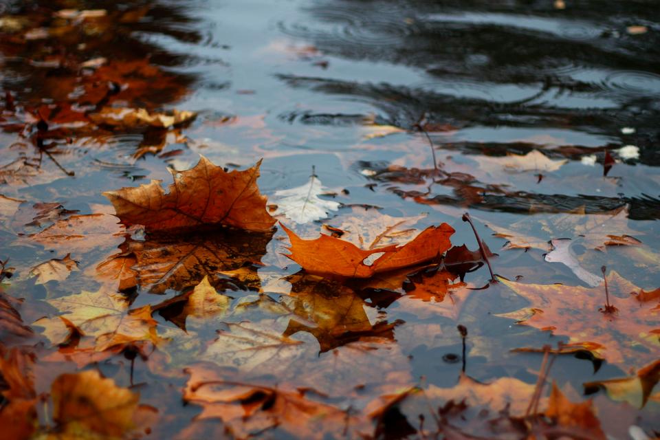 September Is the Worst Month for Stocks. Should Investors Care?