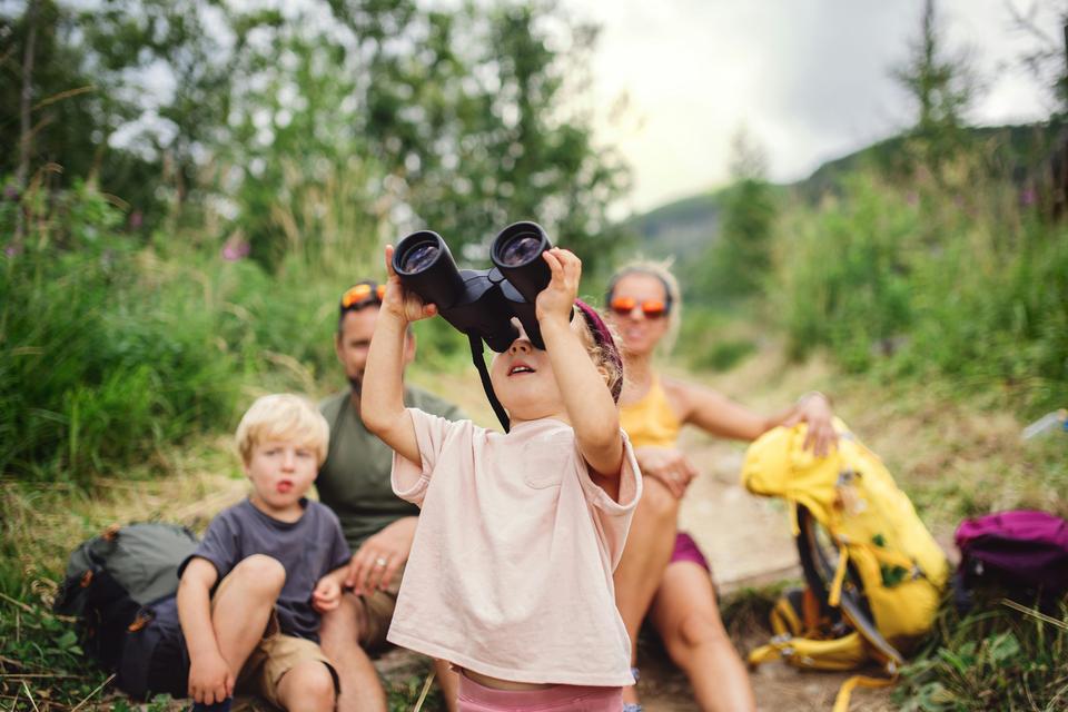 The Cost of Certainty: What We Lose When Curiosity Disappears