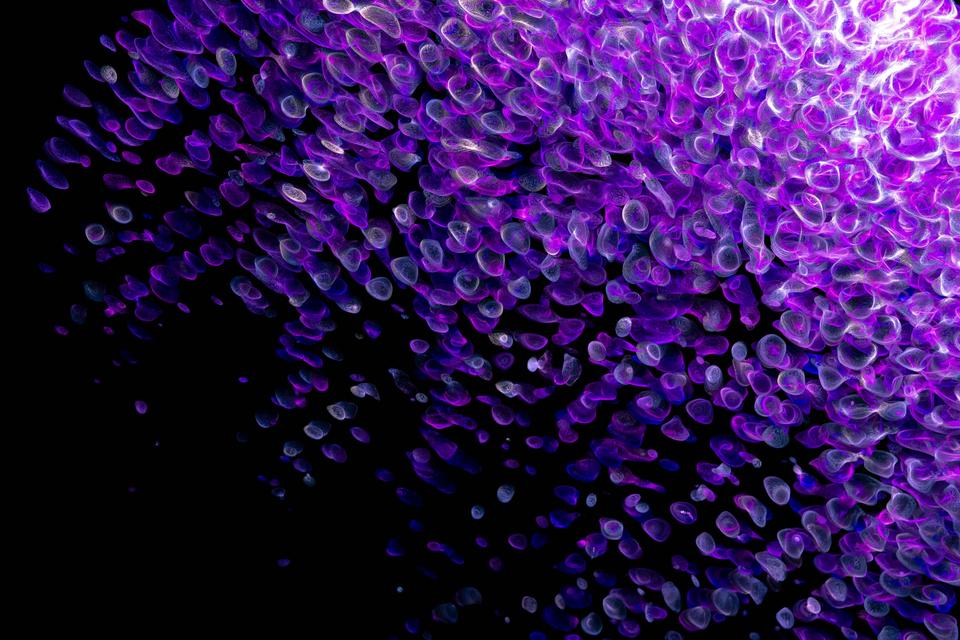 Musk Says AI Will Create Abundance. What If It Creates Something Else?